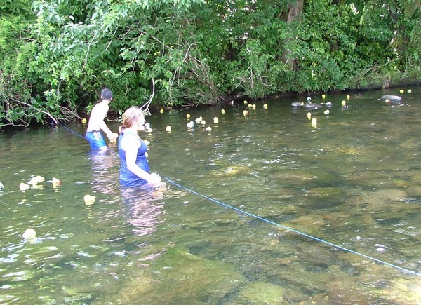 Duck Race